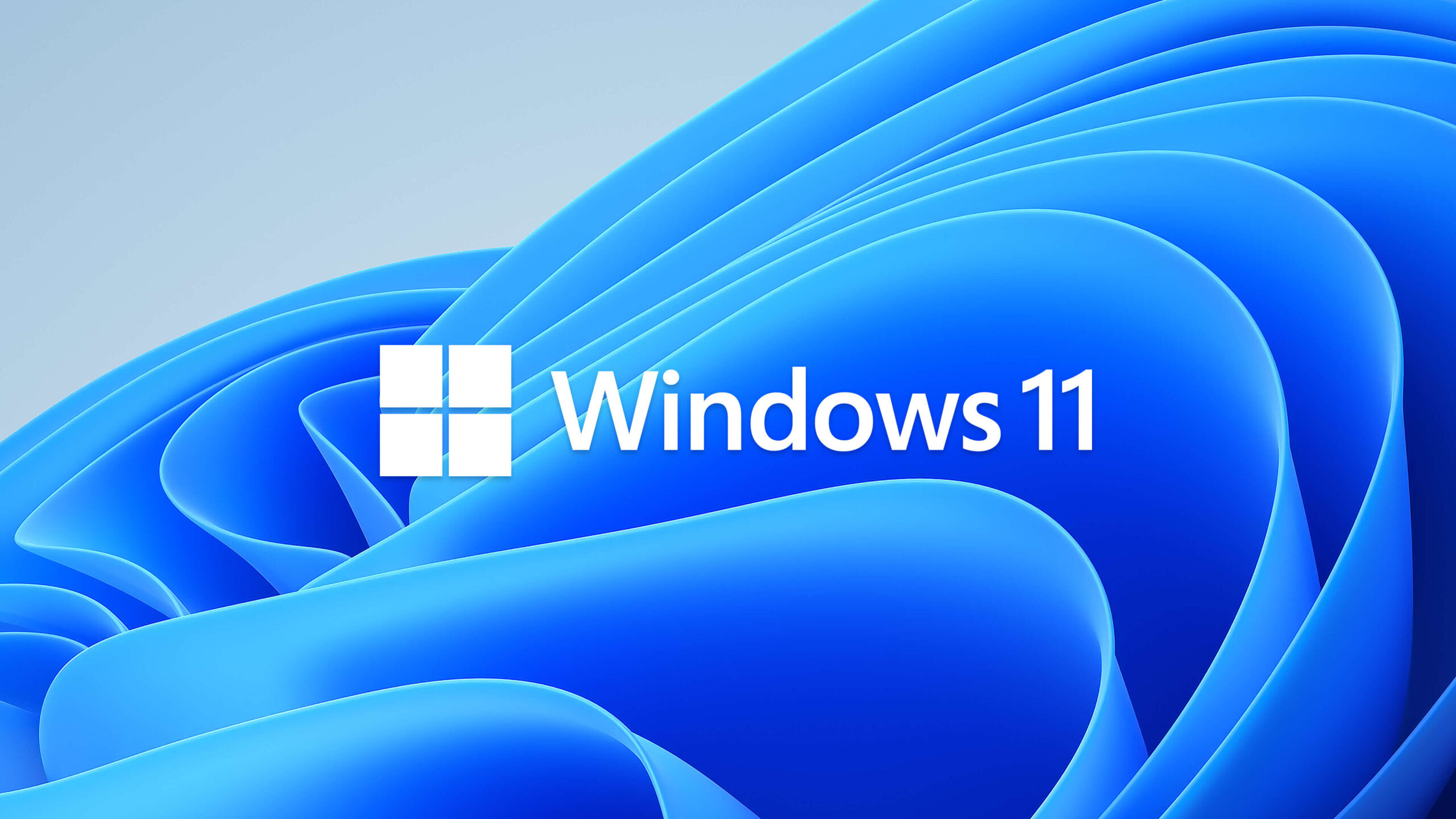 Microsoft's Windows 11